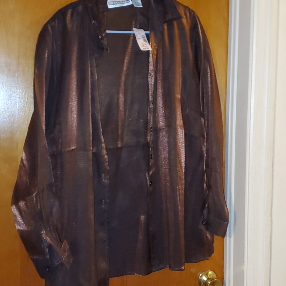Button down (light sheer) Coppery Blouse
